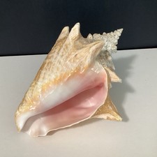 Large natural queen for sale  Cheyenne
