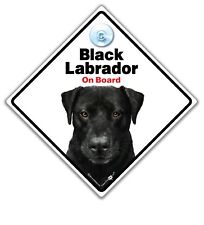 Black labrador board for sale  HOOK
