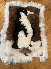 llamas alpaca for sale llamas alpaca for sale Concord