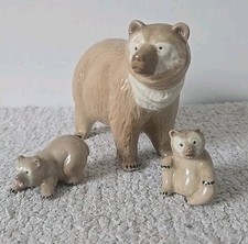 Polar bear cubs for sale  BRADFORD