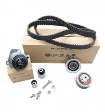 Kit distribuzione con usato  Pietragalla
