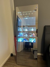 Vaha spiegel hne gebraucht kaufen  Brande-Hornerkirchen