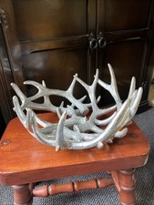 Large antlers metal for sale  NOTTINGHAM