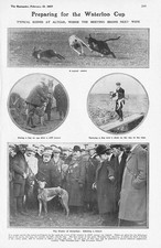 Coursing waterloo cup for sale  GLASGOW