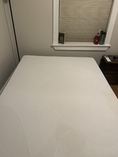 Sinus full size for sale  Brookline