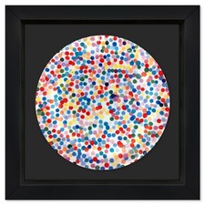 Damien hirst currency for sale  North Las Vegas