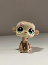 Lps littlest pet for sale  LANCING
