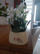 Orchidée pot 28cm d'occasion  Granville