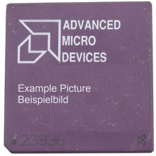 Amd am386 dxl gebraucht kaufen  Schkeuditz