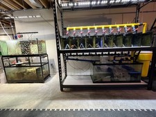 380 gallons acrylic for sale 380 gallons acrylic for sale  Danbury