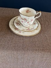 Paragon fine bone for sale  NEWPORT