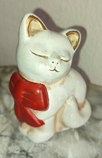 Gatto thun con usato  Gemona del Friuli