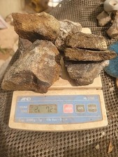 Osso de dinossauro agitado tamanho médio 2,72 comprar usado  Enviando para Brazil