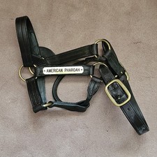 American pharaoh genuine for sale  Valencia