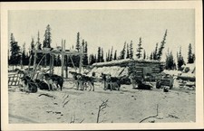 Alaska usa hundeschlitten gebraucht kaufen  Berlin