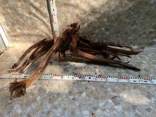 Aquarium teich wurzel gebraucht kaufen  Ahnsbeck