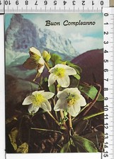 Lotto cartoline buon usato  Chieri
