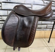 Barnsby working hunter for sale  LLANGOLLEN