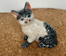 delft cat for sale  WORCESTER