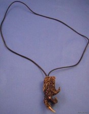 Real florida alligator for sale  Weirsdale
