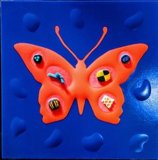 Nucara renzo butterfly usato  Treviso