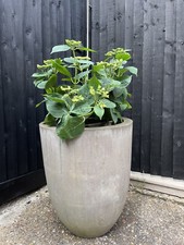 Haddonstone crucible planter for sale  KINGSTON UPON THAMES
