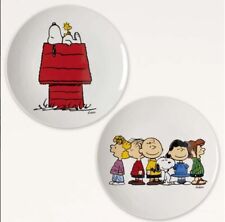 Peanuts snoopy teiliges gebraucht kaufen  Mögglingen