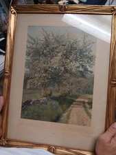 Wallace nutting hand for sale  Summerville