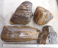 Versteinertes holz kieswerk gebraucht kaufen  Coswig