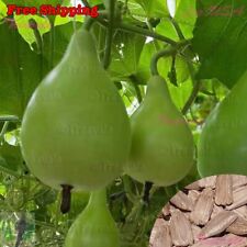 Pear shape bottle for sale  Ontario