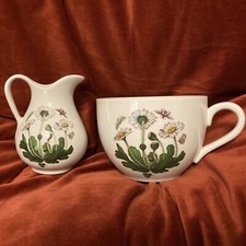 Portmerion jumbo cup for sale  BEXLEYHEATH
