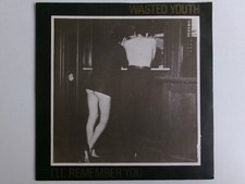 Wasted youth remember for sale  SUNBURY-ON-THAMES