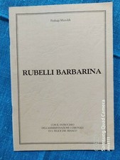 Pierluigi mazzoldi rubelli usato  Roe Volciano