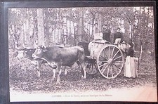 Cpa landes attelage d'occasion  Lyon II
