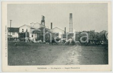 1900 trinidad ingenio usato  Milano