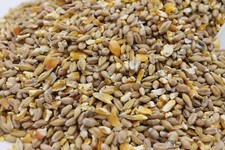 Körnerfutter kg hühnerfutter gebraucht kaufen  Steinfeld