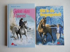 Pony club bücher gebraucht kaufen  Bühren