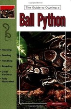 Ball pythons coborn for sale  UK