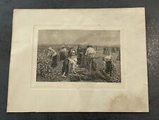 Dessin planche ancienne d'occasion  Senlis