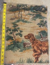 Irish setter dog for sale  Hillsdale