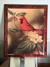 Vintage red cardinal for sale  Kalamazoo