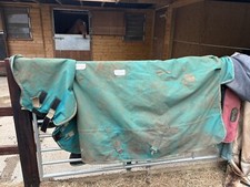 Shires tempest plus for sale  PETERBOROUGH