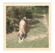 Vintage 1967 photo for sale  Lake Ariel