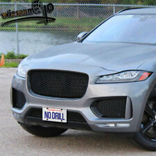 Front lower grill for sale  USA