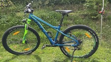 Mountainbike bulls sharptail gebraucht kaufen  Meinerzhagen