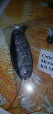 Belemnite fossil for sale  SALTBURN-BY-THE-SEA