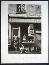 Exotic birds kunstdruck gebraucht kaufen Exotic birds kunstdruck gebraucht kaufen  Olpe