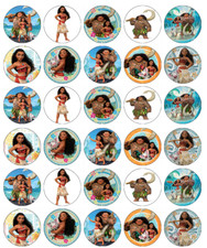 Moana maui disney for sale  PORTSMOUTH