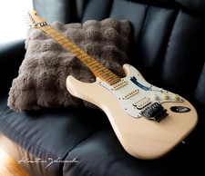 fender richie sambora comprar usado fender richie sambora comprar usado  Enviando para Brazil