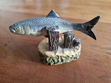 Twaite shad slight for sale  SWAFFHAM